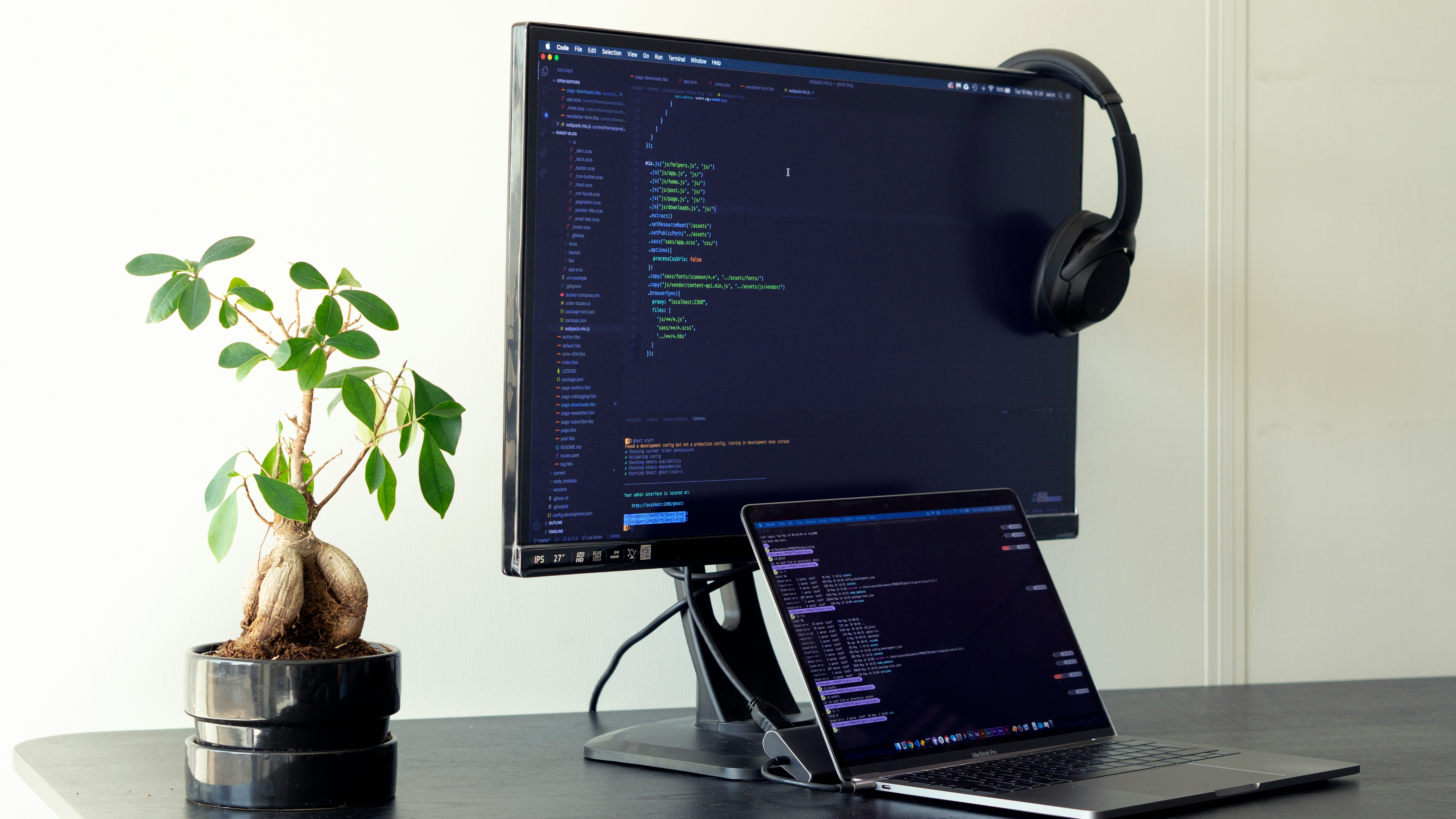 Maintenance & Support